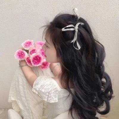 甲贺忍法帖