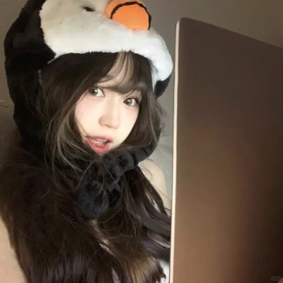 当哈维遇见鲍勃